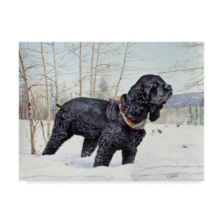 Carol J Rupp 'Too Much Snow' Canvas Art,14x19